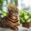 Santé du chat Bengal : ce qu’il faut savoir