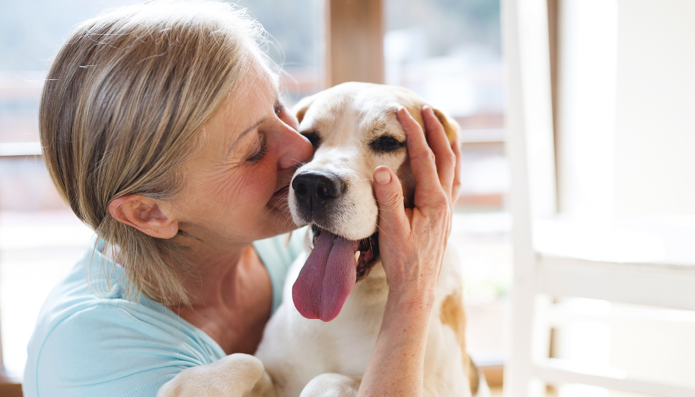 a partir de quand passer aux croquettes de chien sénior
