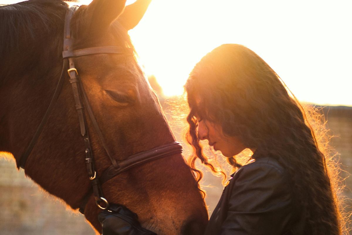 Pour le soin de vos chevaux, misez sur les bienfaits naturels de l’huile de cade !