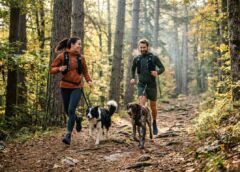 7 sports qui renforcent la complicité avec votre chien