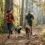 7 sports qui renforcent la complicité avec votre chien