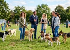 les clubs canins bien plus qu'un lieu d'éducation