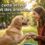 Récompenser son chien : comment choisir la friandise qui fait vraiment la différence